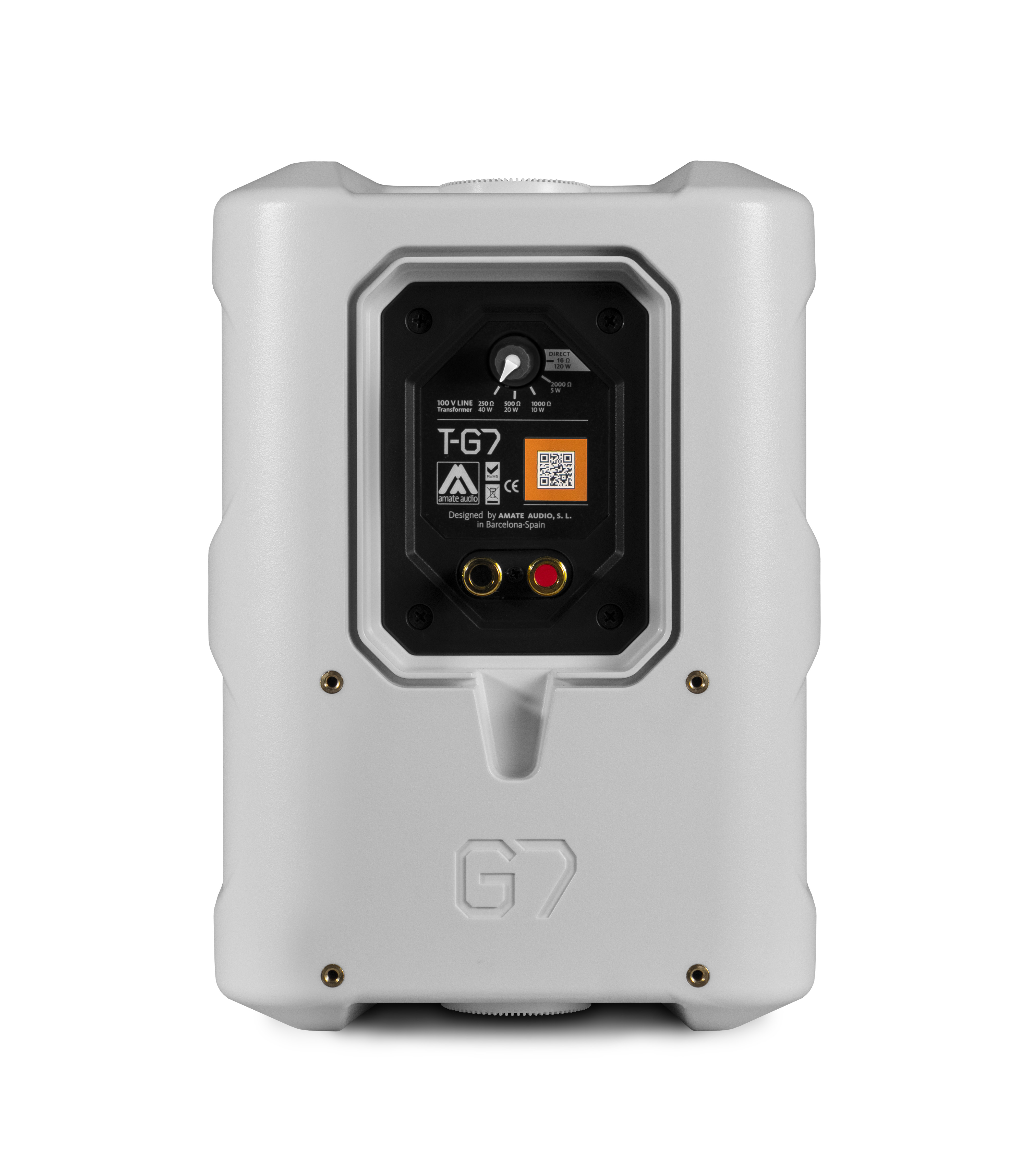100V Netztransformator T-G7 - Amate Audio